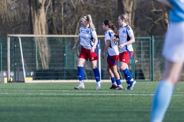 Bild 270 - F Hamburger SV 3 - Blau-Weiss 96 : Ergebnis: 5:1